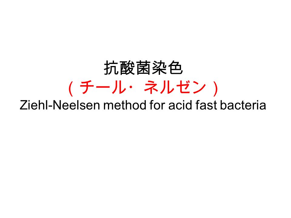 抗酸菌染色 （チール・ネルゼン） Ziehl-Neelsen method for acid fast bacteria