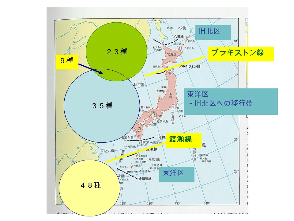 東京農工大 動物生態学 2 回目 13 年 10 月 8 日 バイオームと動物地理区 金子弥生 Ppt Download