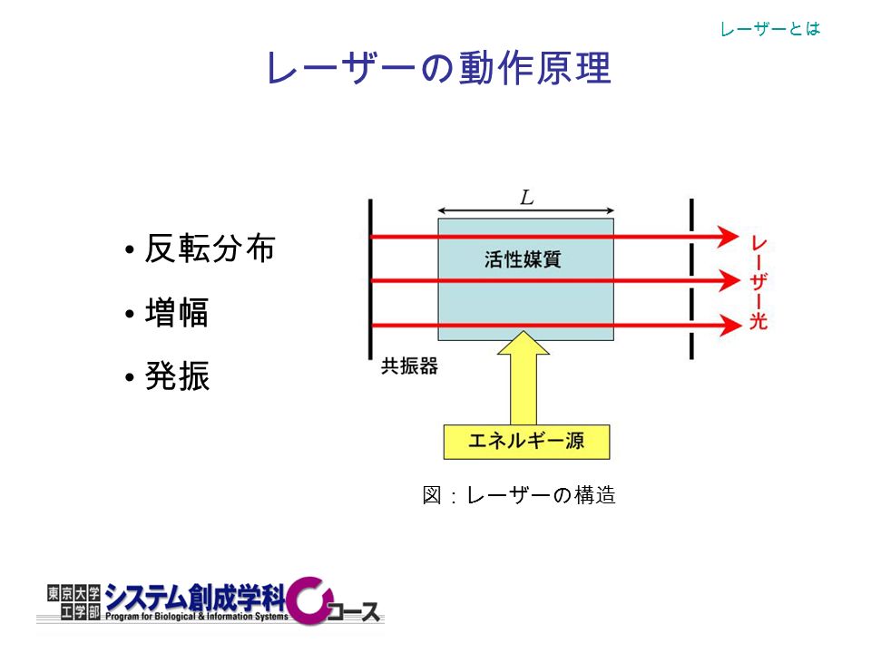 レーザーとは レーザーの動作原理 図：レーザーの構造 反転分布 増幅 発振