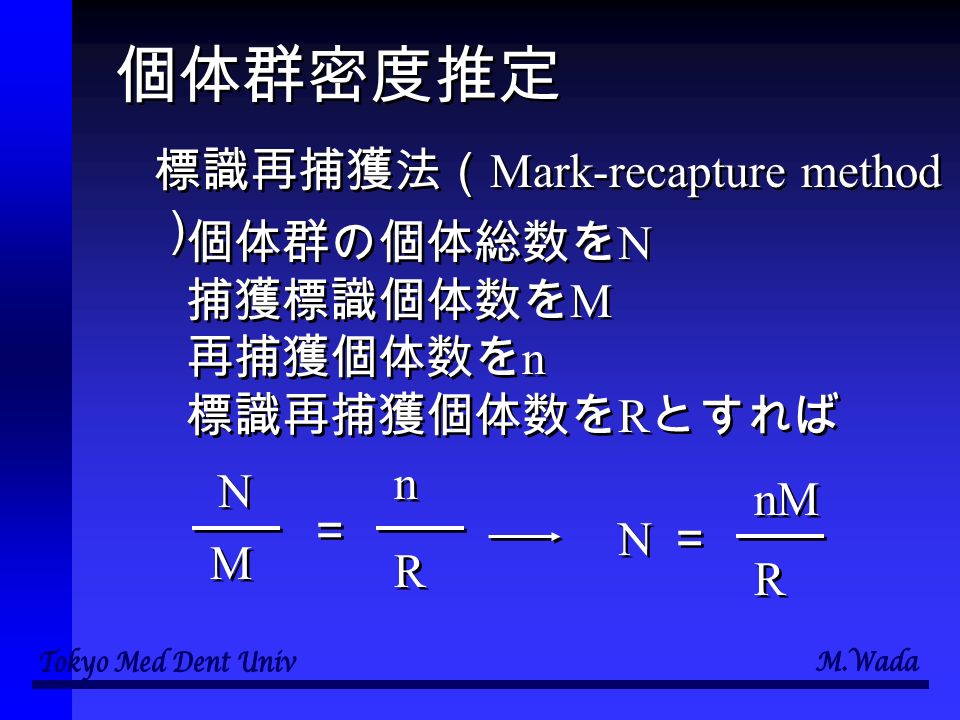 個体群密度推定 標識再捕獲法（ Mark-recapture method ） 個体群の個体総数を N 捕獲標識個体数を M 再捕獲個体数を n 標識再捕獲個体数を R とすれば 個体群の個体総数を N 捕獲標識個体数を M 再捕獲個体数を n 標識再捕獲個体数を R とすれば N N M M ＝ ＝ n n R R N N ＝ ＝ nM R R