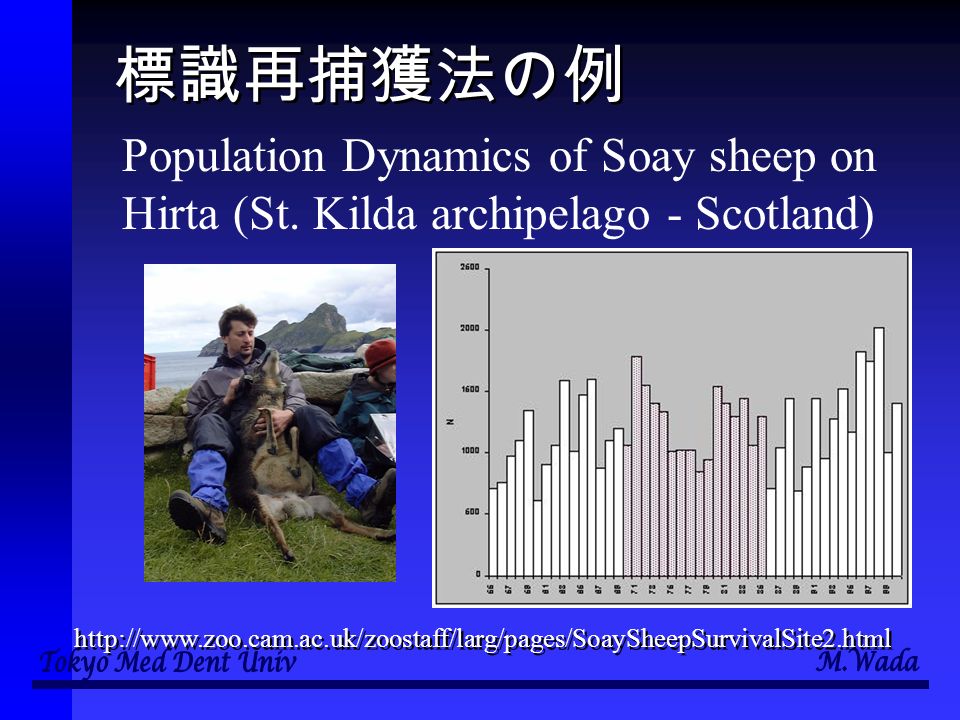 標識再捕獲法の例 Population Dynamics of Soay sheep on Hirta (St.