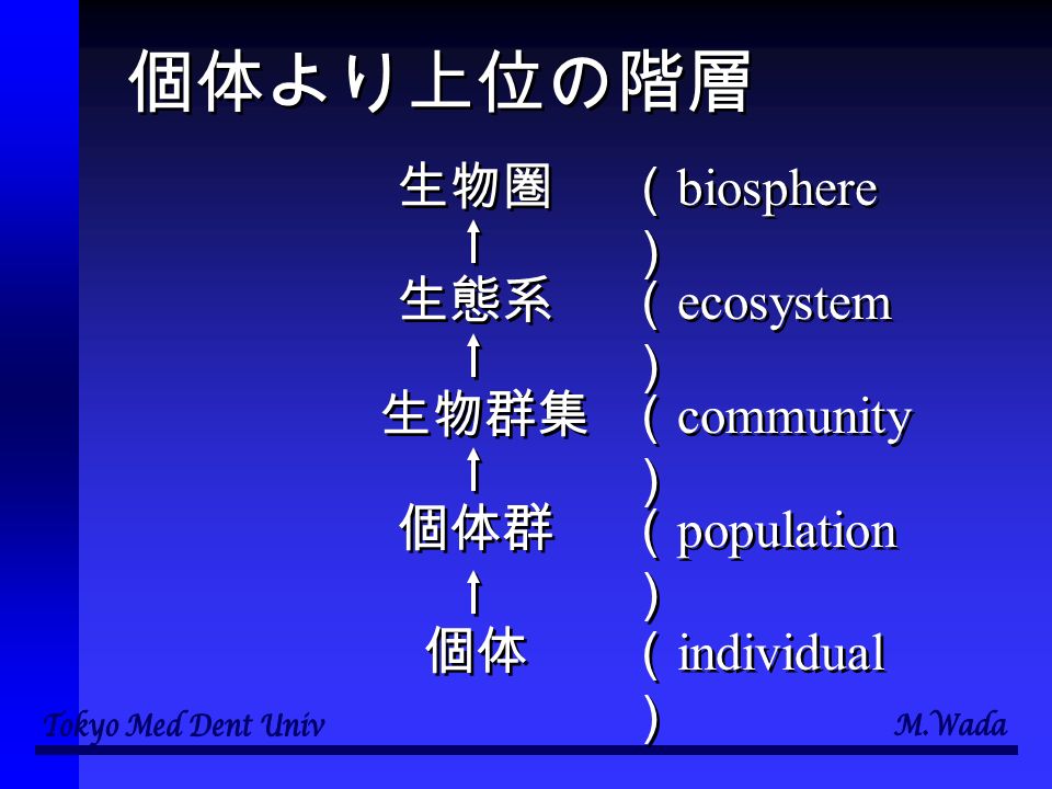 個体より上位の階層 個体 個体群 生物群集 生態系 生物圏 （ biosphere ） （ ecosystem ） （ community ） （ population ） （ individual ）