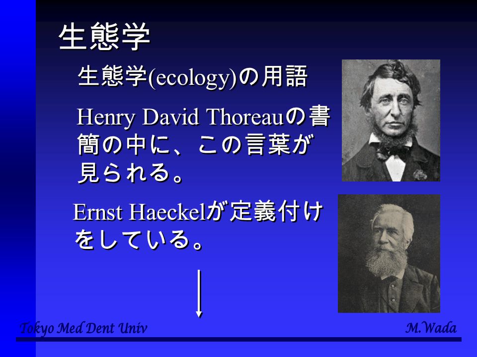 生態学 生態学 (ecology) の用語 Henry David Thoreau の書 簡の中に、この言葉が 見られる。 Ernst Haeckel が定義付け をしている。