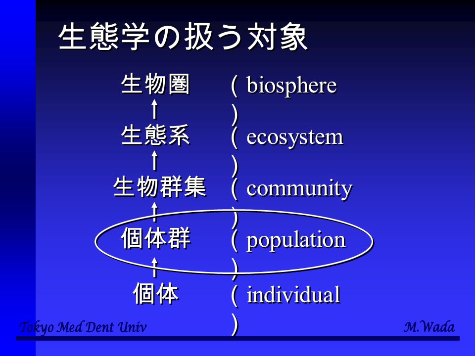 生態学の扱う対象 個体 個体群 生物群集 生態系 生物圏 （ biosphere ） （ ecosystem ） （ community ） （ population ） （ individual ）