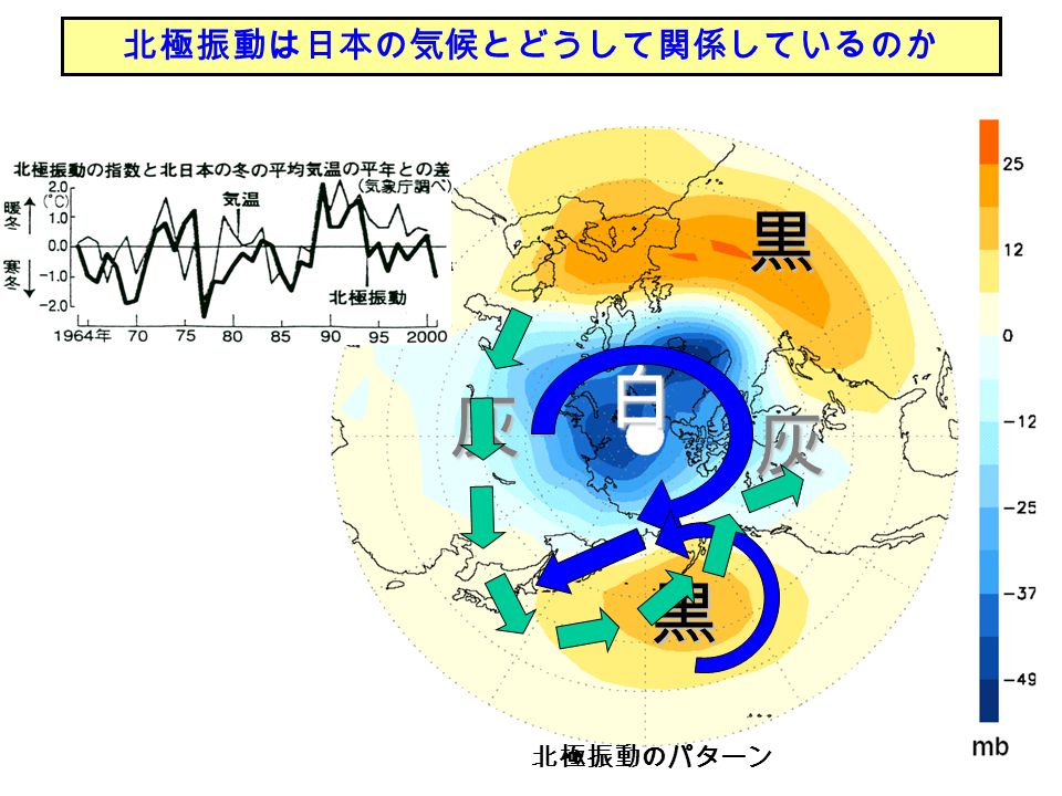 北極振動のパターン 北極振動は日本の気候とどうして関係しているのか 白 黒 黒 灰 灰