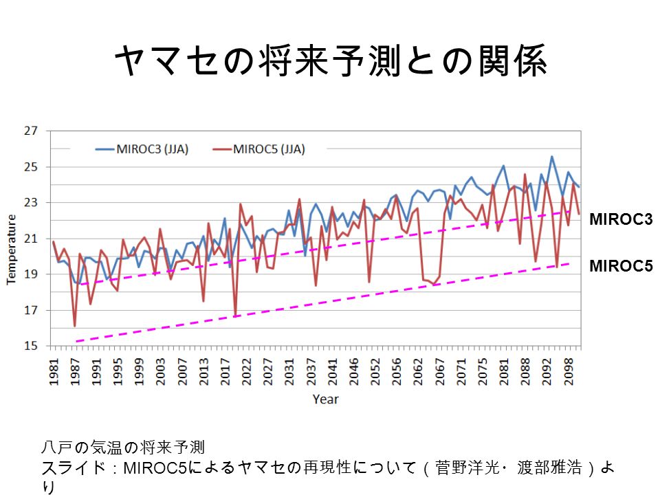 ヤマセの将来予測との関係 八戸の気温の将来予測 スライド： MIROC5 によるヤマセの再現性について（菅野洋光・渡部雅浩）よ り MIROC5 MIROC3