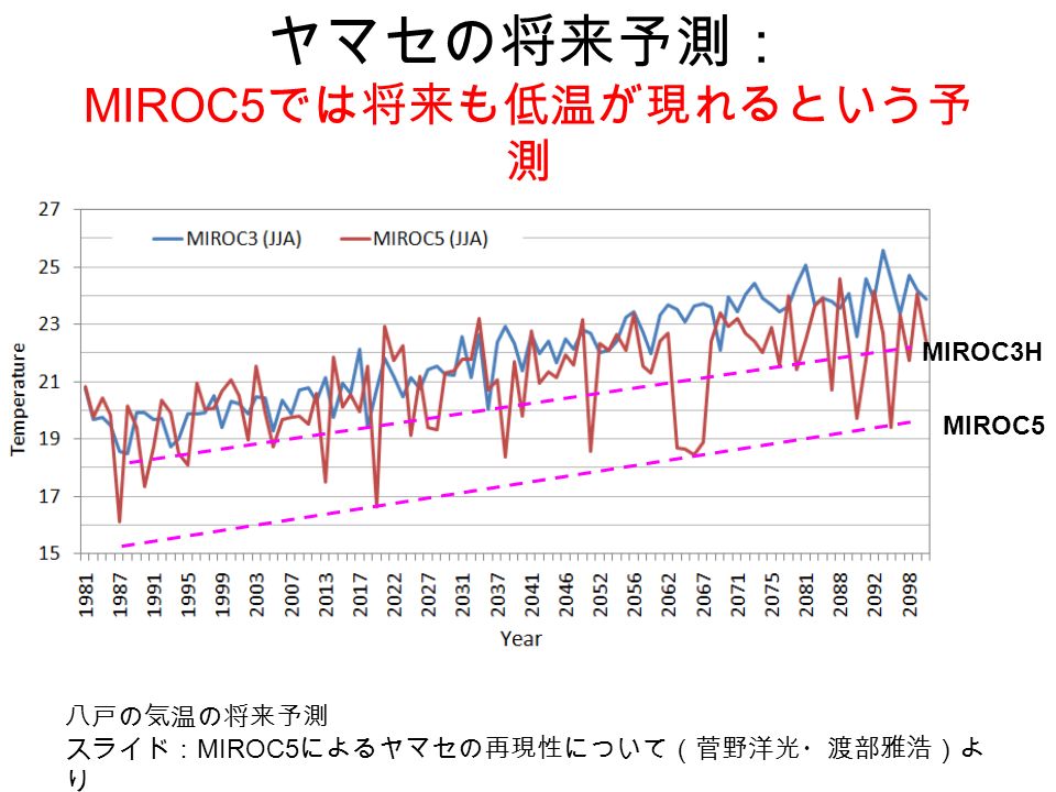 ヤマセの将来予測： MIROC5 では将来も低温が現れるという予 測 八戸の気温の将来予測 スライド： MIROC5 によるヤマセの再現性について（菅野洋光・渡部雅浩）よ り MIROC5 MIROC3H