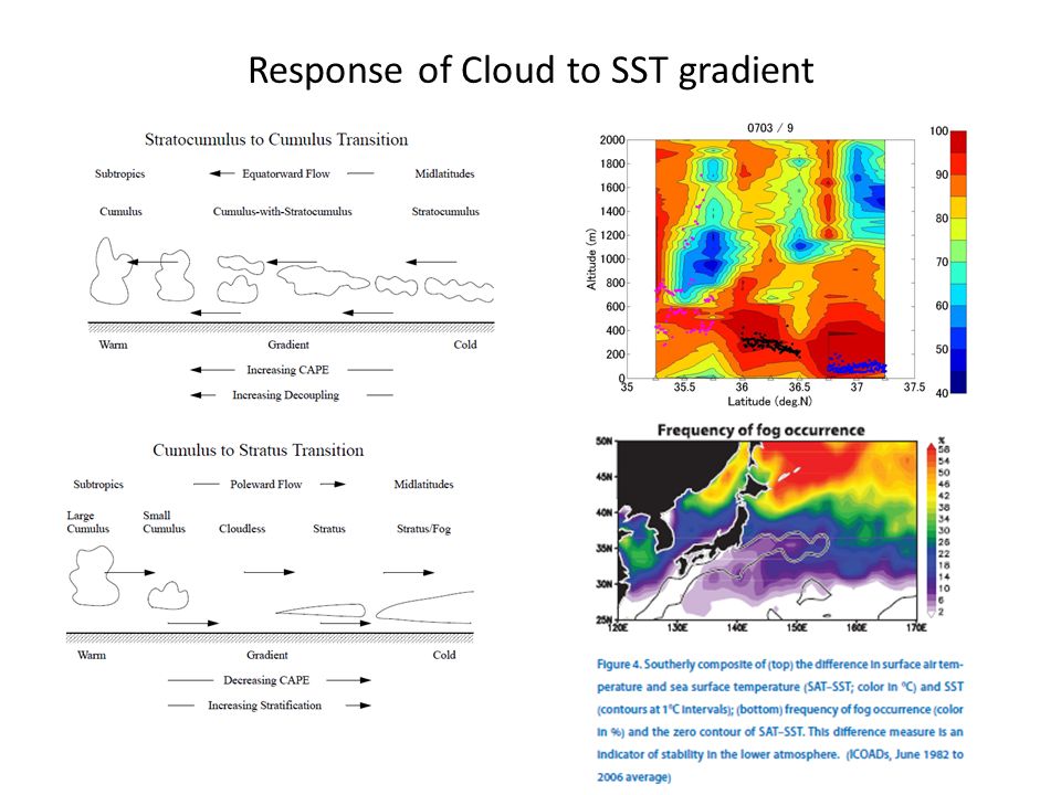 Response of Cloud to SST gradient