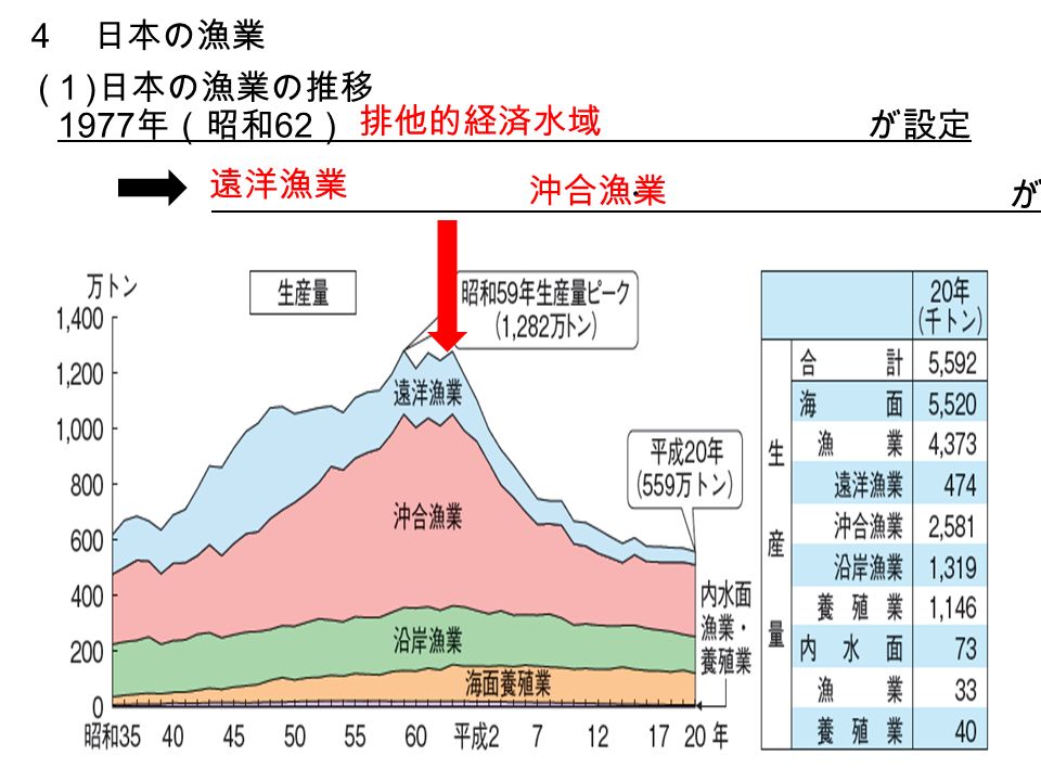 ( １ ) 日本の漁業の推移 1977 年（昭和 62 ） が設定 ・ が衰退 ４ 日本の漁業 排他的経済水域 遠洋漁業 沖合漁業