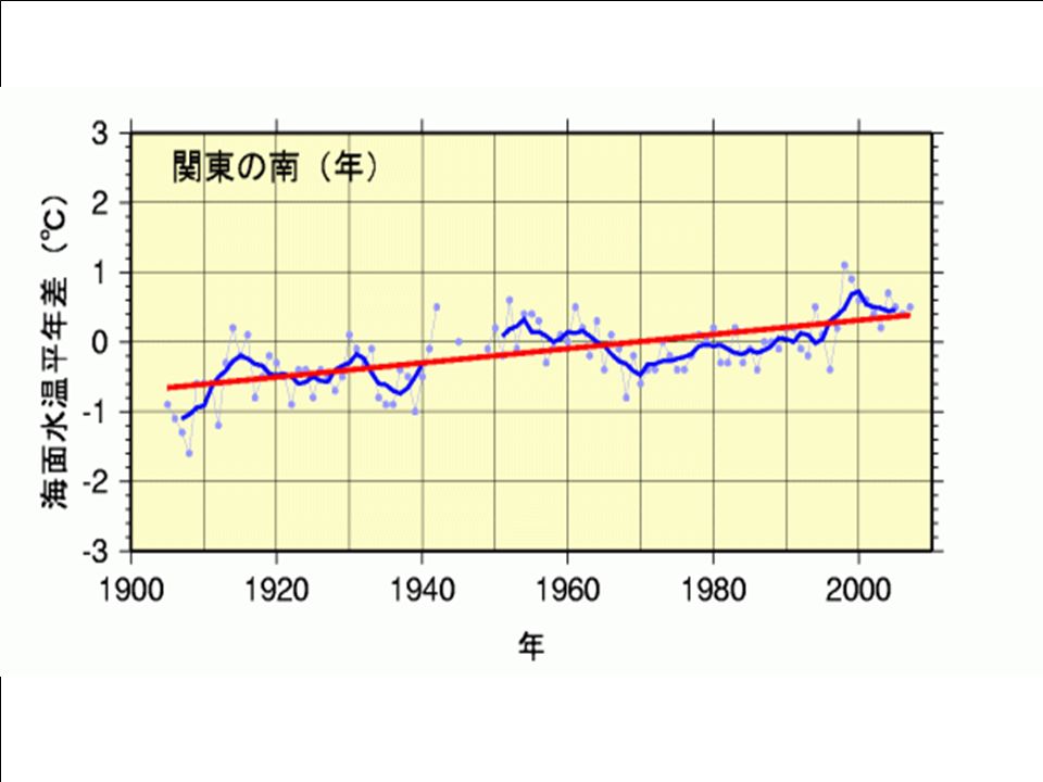 過去１００年間の 海面水温の上昇 （世界平均： 0.5 度 /100 年） Cf. 日本の平均気温上昇 1.07 度 /100 年 温暖化