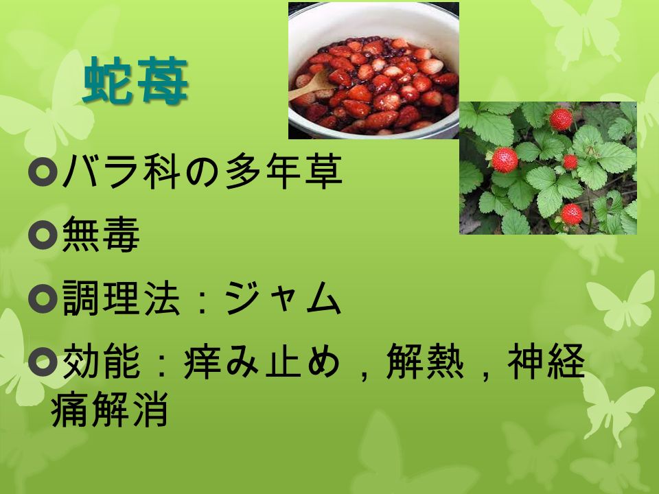 食べられる雑草 10 班 山崎 山元 山本 米田 ノビル ノビルとは ユリ科ネギ属の多年草 野原 河原の土手に生息 根元の小さな玉ねぎ状を食べ る Ppt Download