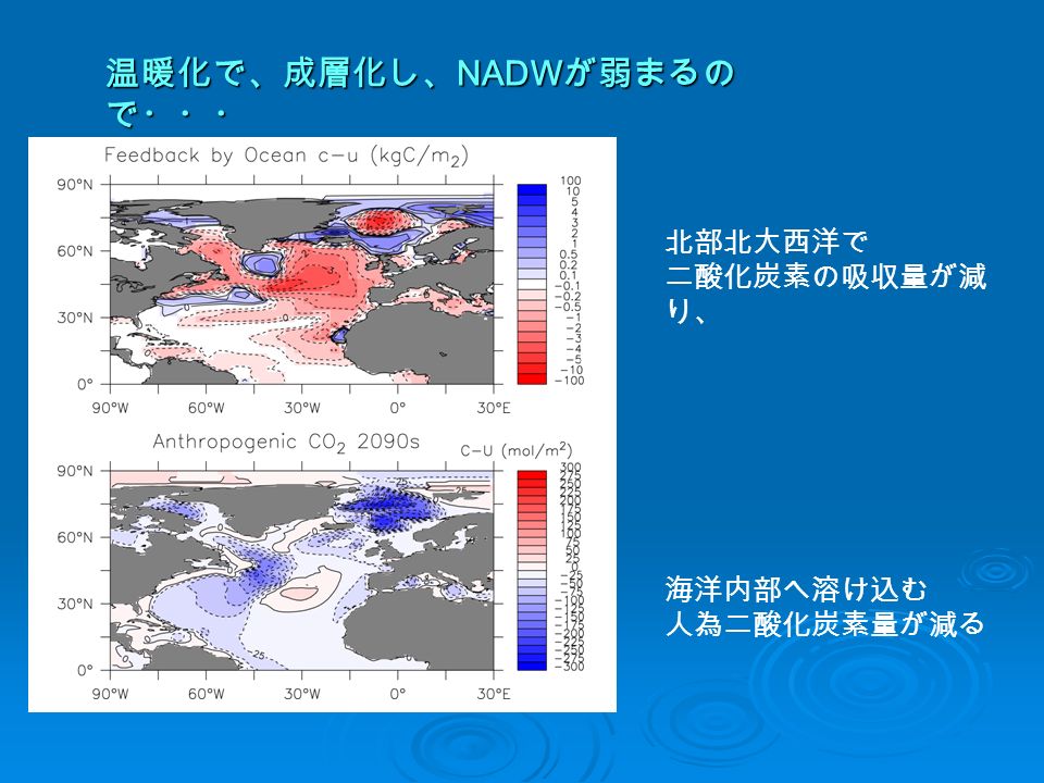 温暖化で、成層化し、 NADW が弱まるの で・・・ 北部北大西洋で 二酸化炭素の吸収量が減 り、 海洋内部へ溶け込む 人為二酸化炭素量が減る