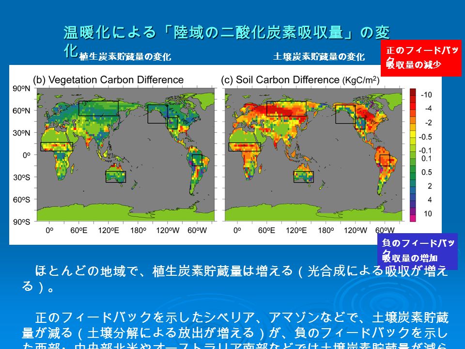 温暖化による「陸域の二酸化炭素吸収量」の変 化 吸収量の減少 正のフィードバッ ク 吸収量の増加 負のフィードバッ ク ほとんどの地域で、植生炭素貯蔵量は増える（光合成による吸収が増え る）。 正のフィードバックを示したシベリア、アマゾンなどで、土壌炭素貯蔵 量が減る（土壌分解による放出が増える）が、負のフィードバックを示し た西部・中央部北米やオーストラリア南部などでは土壌炭素貯蔵量が減ら ない。 植生炭素貯蔵量の変化土壌炭素貯蔵量の変化