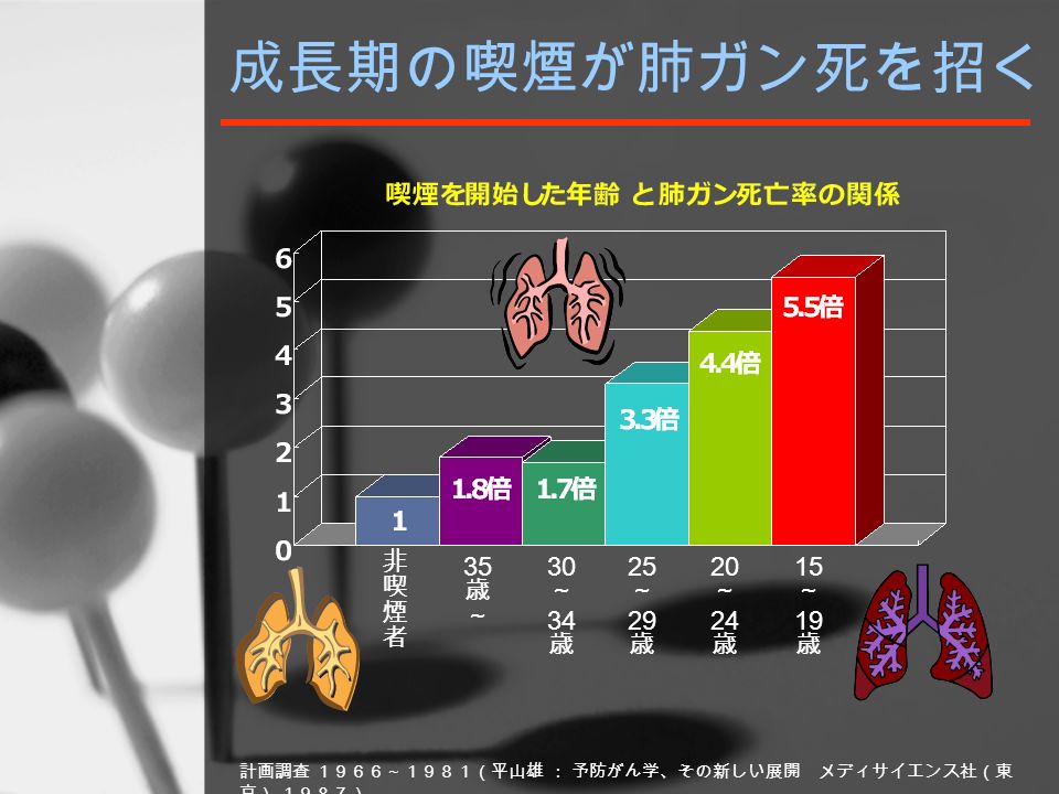 成長期の喫煙が肺ガン死を招く 計画調査 １９６６～１９８１（平山雄 ： 予防がん学、その新しい展開 メディサイエンス社（東 京） １９８７）