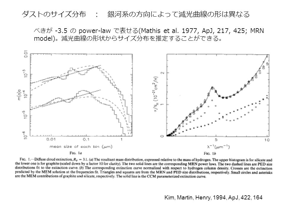 ダストのサイズ分布 ： 銀河系の方向によって減光曲線の形は異なる Kim, Martin, Henry, 1994, ApJ, 422, 164 べきが -3.5 の power-law で表せる(Mathis et al.