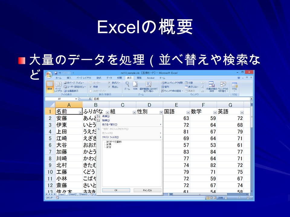 Excel の概要 大量のデータを処理（並べ替えや検索な ど）