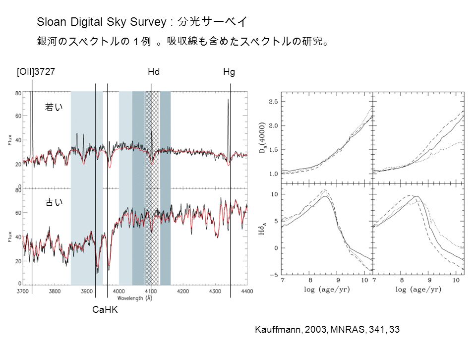 Kauffmann, 2003, MNRAS, 341, 33 Sloan Digital Sky Survey : 分光サーベイ 銀河のスペクトルの１例 。吸収線も含めたスペクトルの研究。 [OII]3727Hg CaHK Hd 若い 古い