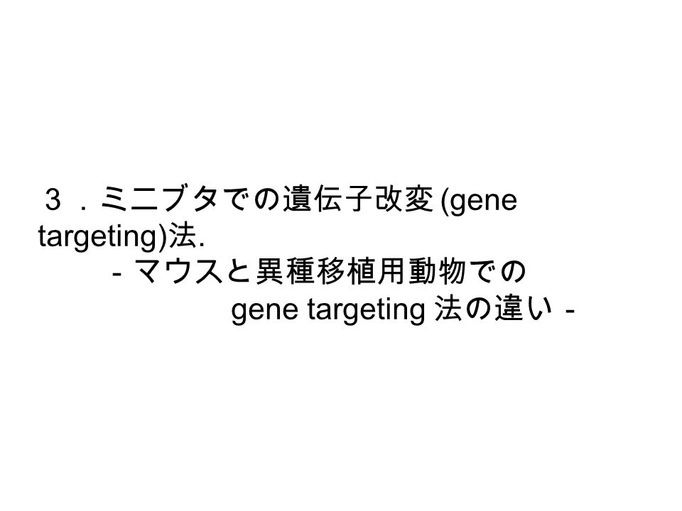 ３．ミニブタでの遺伝子改変 (gene targeting) 法. －マウスと異種移植用動物での gene targeting 法の違い－