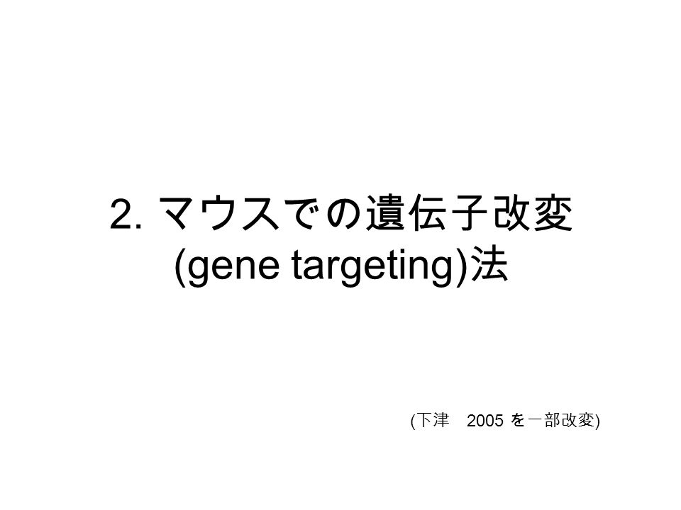 2. マウスでの遺伝子改変 (gene targeting) 法 ( 下津 2005 を一部改変 )