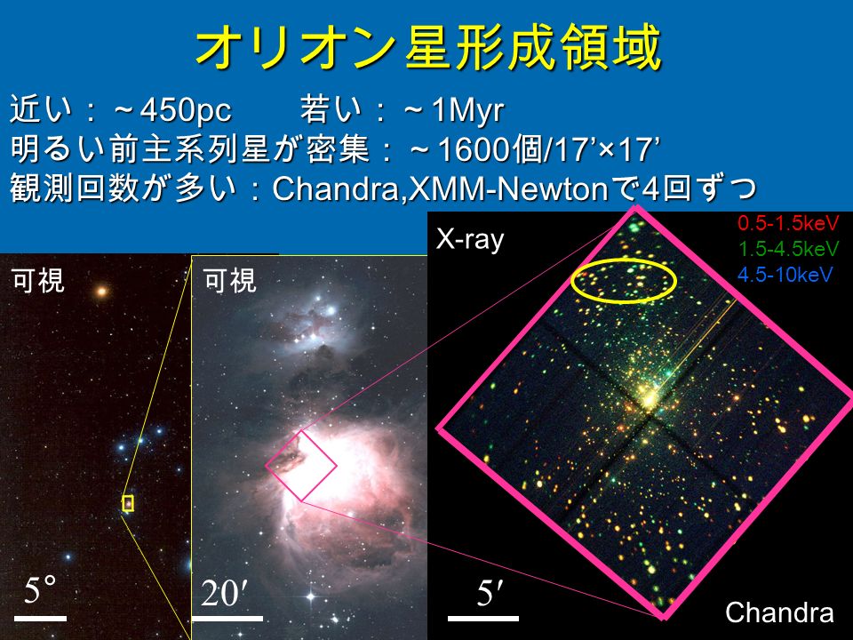 可視 20′ オリオン星形成領域 近い：～ 450pc 若い：～ 1Myr 明るい前主系列星が密集：～ 1600 個 /17’×17’ 明るい前主系列星が密集：～ 1600 個 /17’×17’ 観測回数が多い： Chandra,XMM-Newton で 4 回ずつ 5° X-ray 5′ keV keV keV Chandra